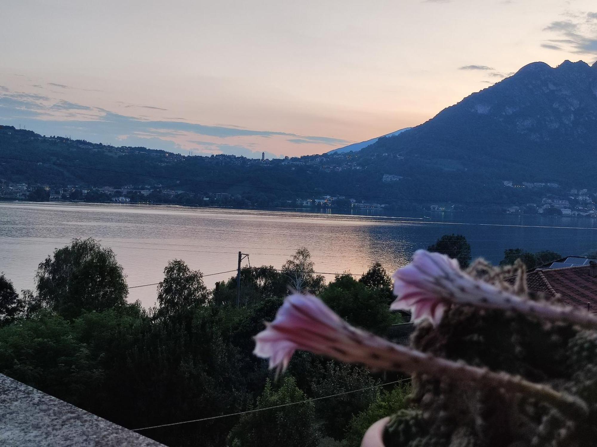 Terrazzo Sul Lago Lecco Buitenkant foto