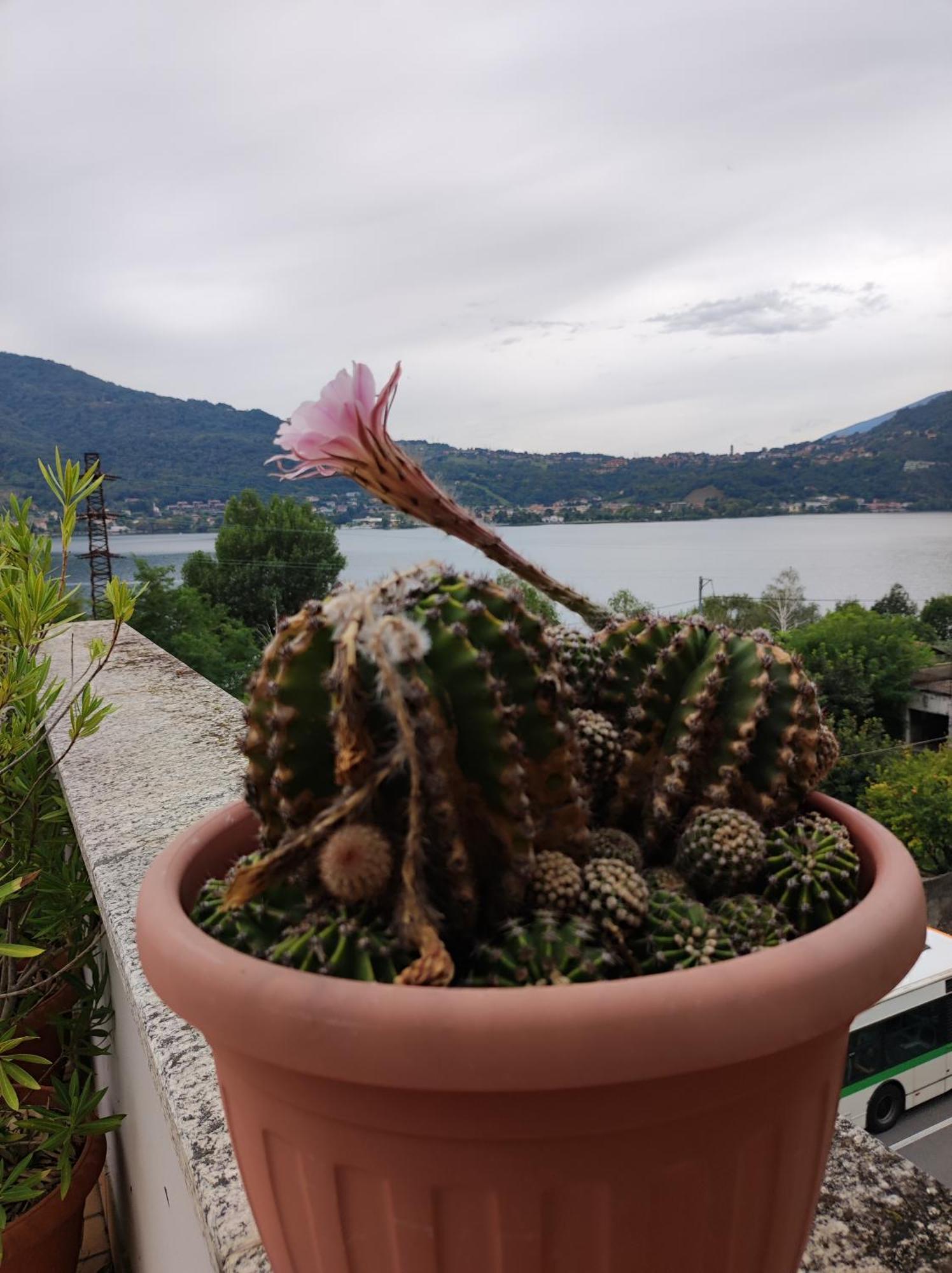 Terrazzo Sul Lago Lecco Buitenkant foto